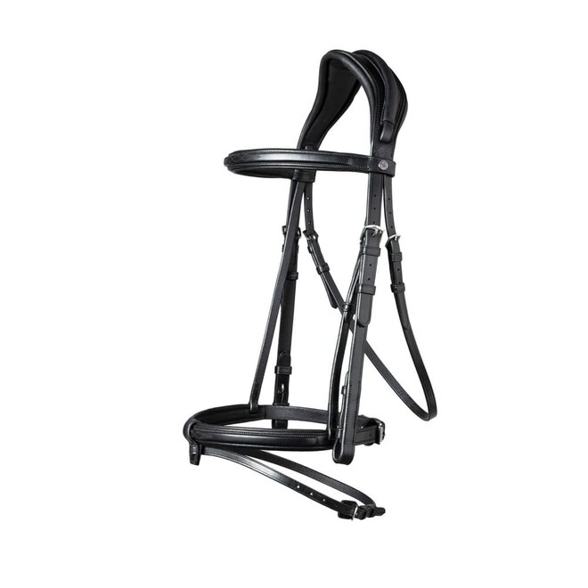 Geneva Combined Noseband Bridle