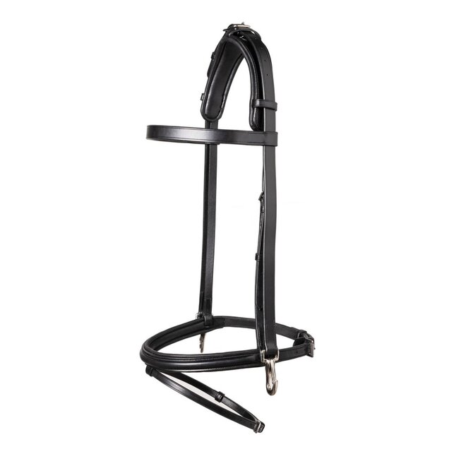 Hamburg Training Bridle