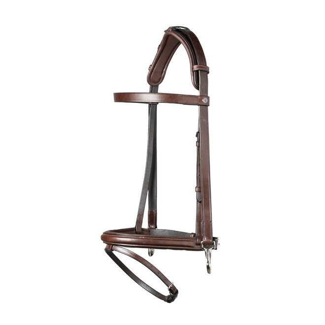 Hamburg Training Bridle