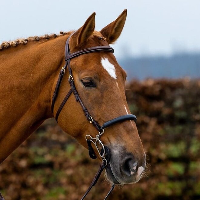 Hickstead Hackamore Bridle
