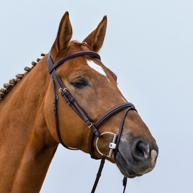 Knokke Klassiek Gecombineerde Neusriem Hoofdstel