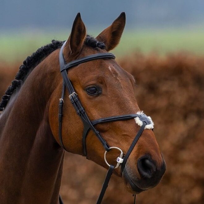 Oslo Mexican Noseband Bridle