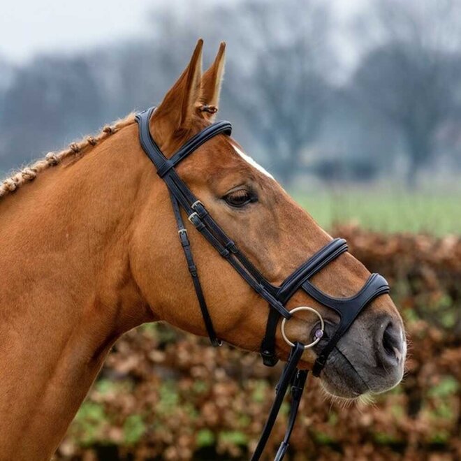 Paris Double Noseband Bridle