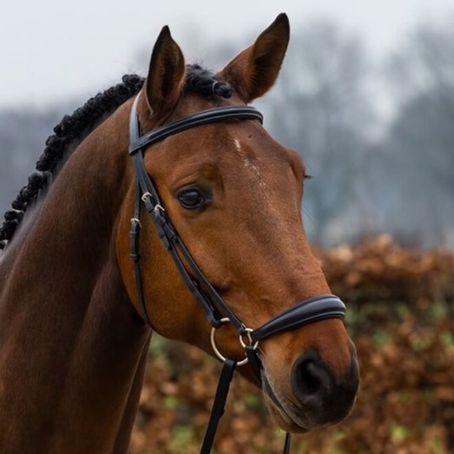 Rome Lage Neusriem Hoofdstel