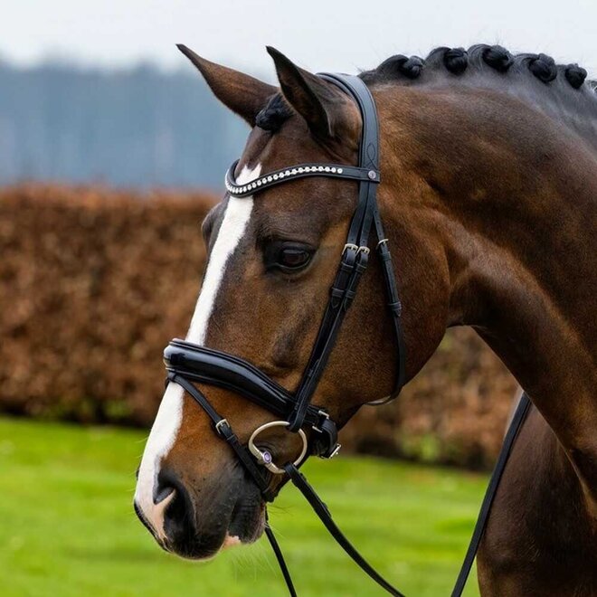 Rotterdam Bridle With Anatomic Large Crank Noseband