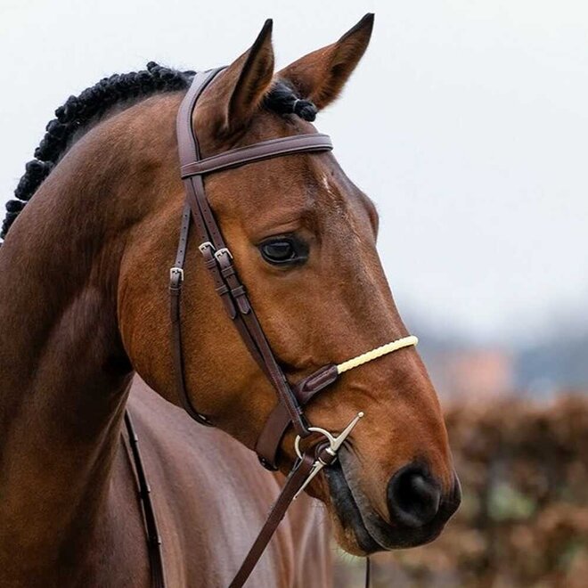 St. Gallen Rope Noseband Bridle