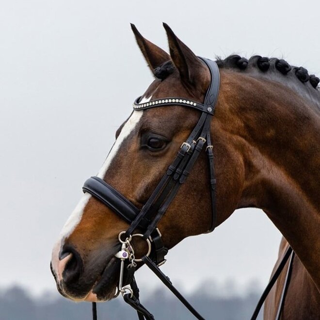 Wellington Double Bridle With Large Crank Noseband