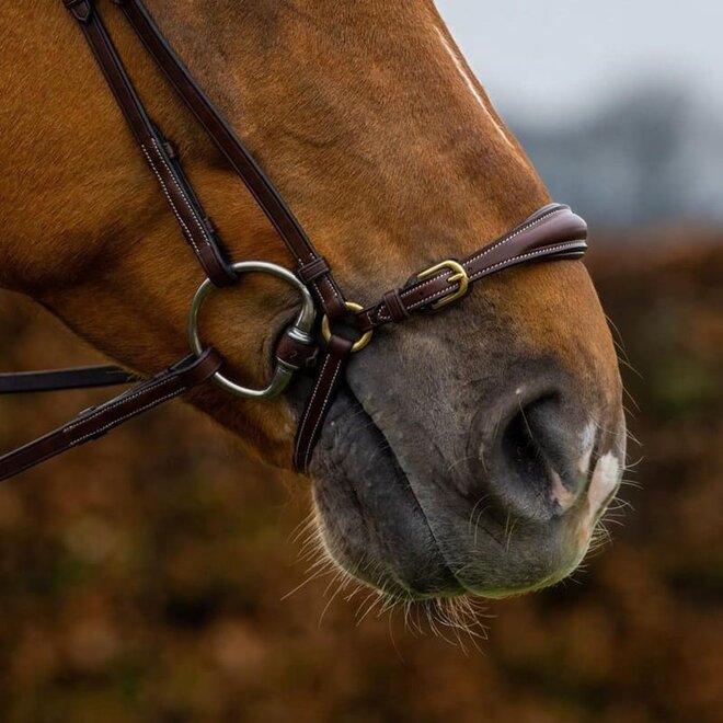 Barcelona Adjustable Drop Noseband Bridle