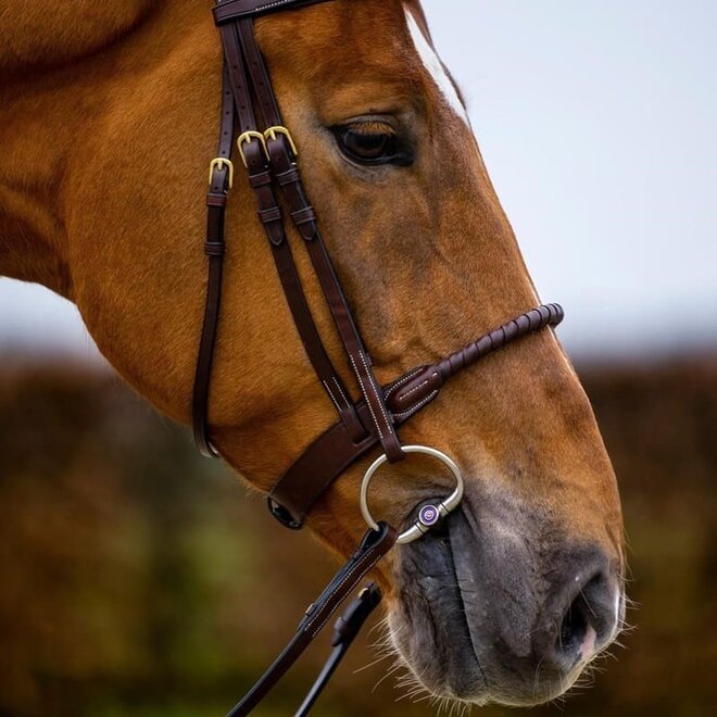 Dublin Leather Covered Rope Noseband Bridle