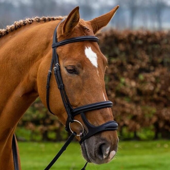 Paris Double Noseband Bridle