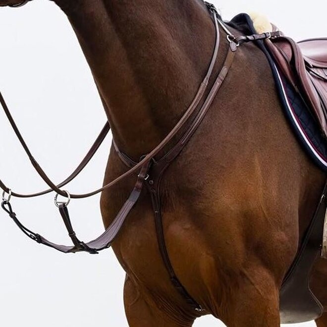 Brussels Vorderzeug Mit Brücke