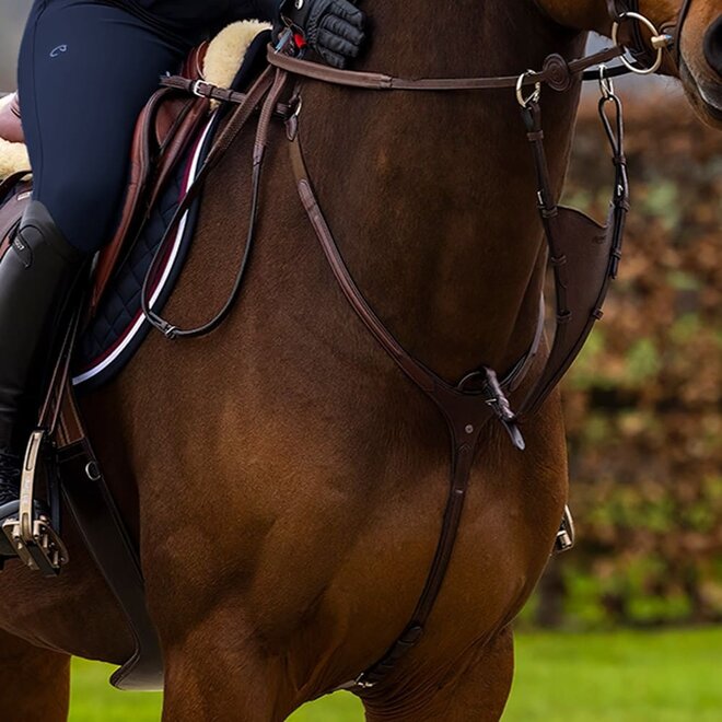 Brussels Vorderzeug Mit Brücke