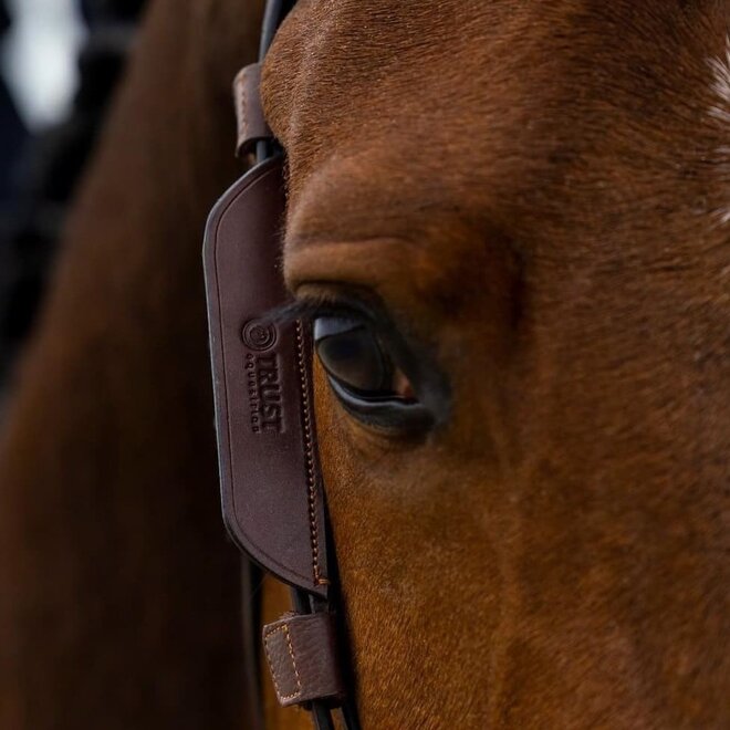 Blinkers – Focus Backenstücke