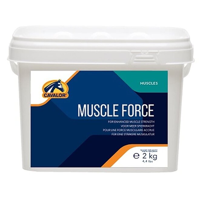 Muscle Force