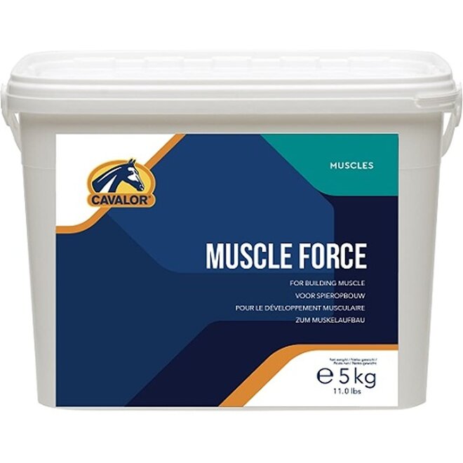Muscle Force