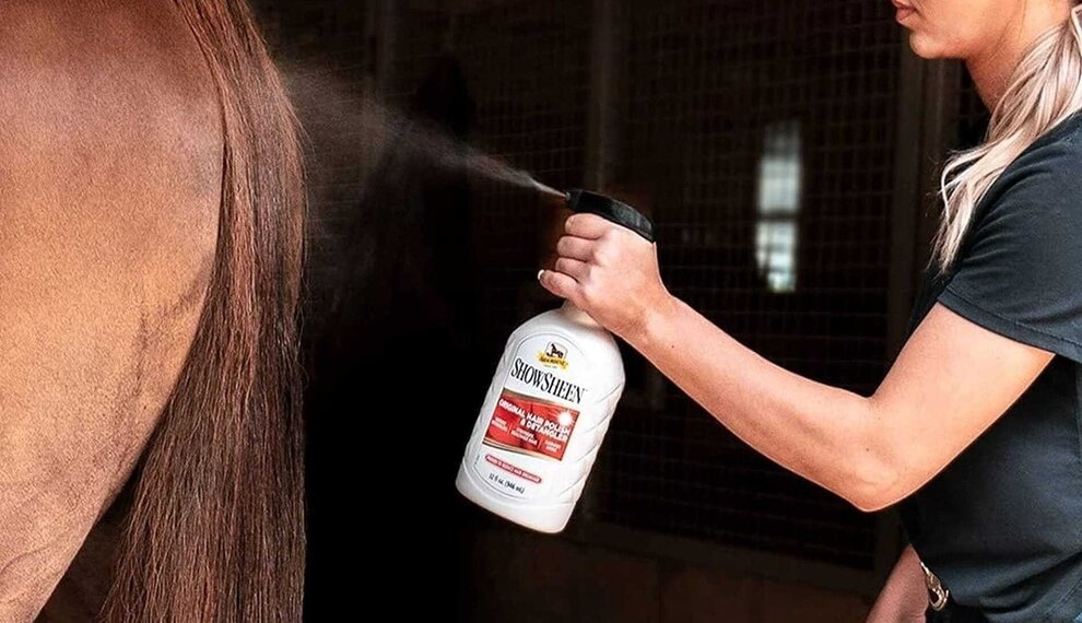 Absorbine: Innovatieve verzorgingsproducten voor het paard