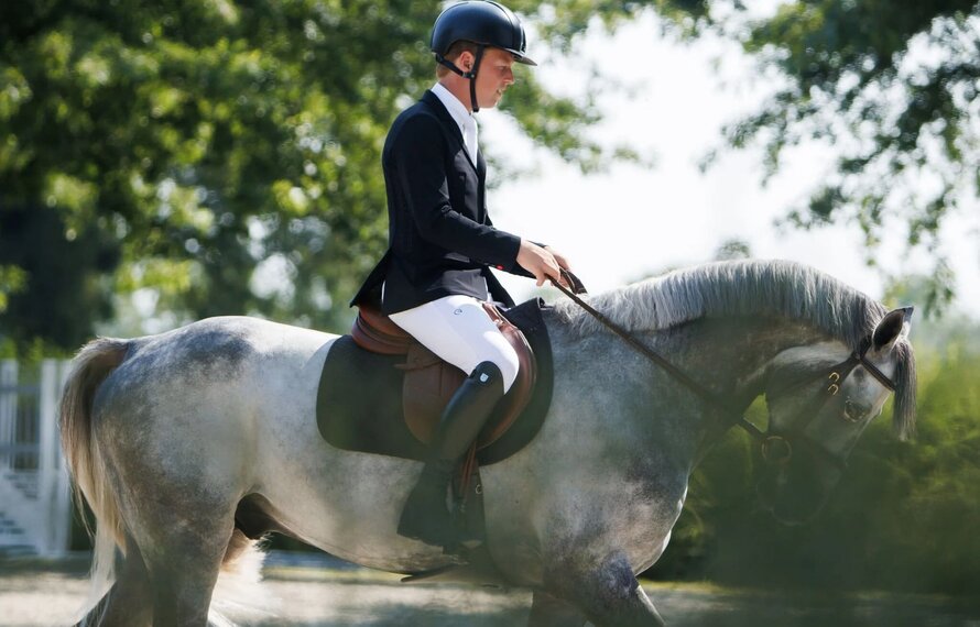 Ontdek EGO7: Topkwaliteit ruitersportkleding en rijlaarzen bij HorseOnline
