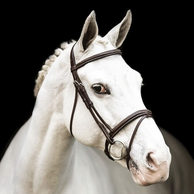 New Pro Bridle Combined Noseband
