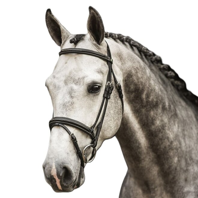 New Pro Bridle Combined Noseband