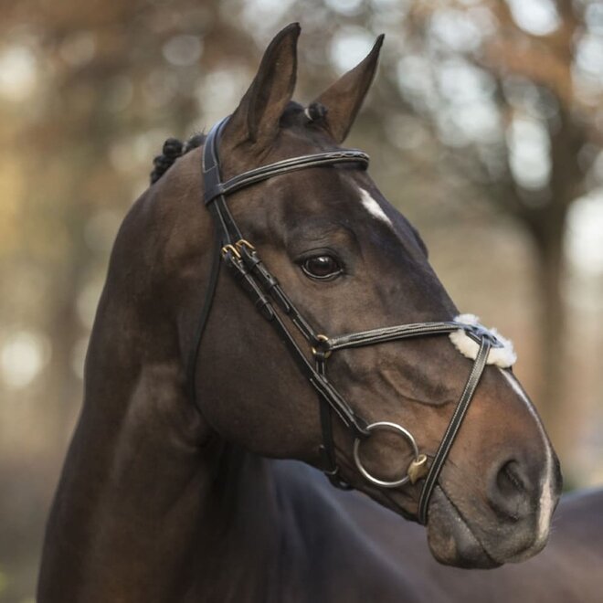 New Pro Trense Mexikanischem Reithalfter