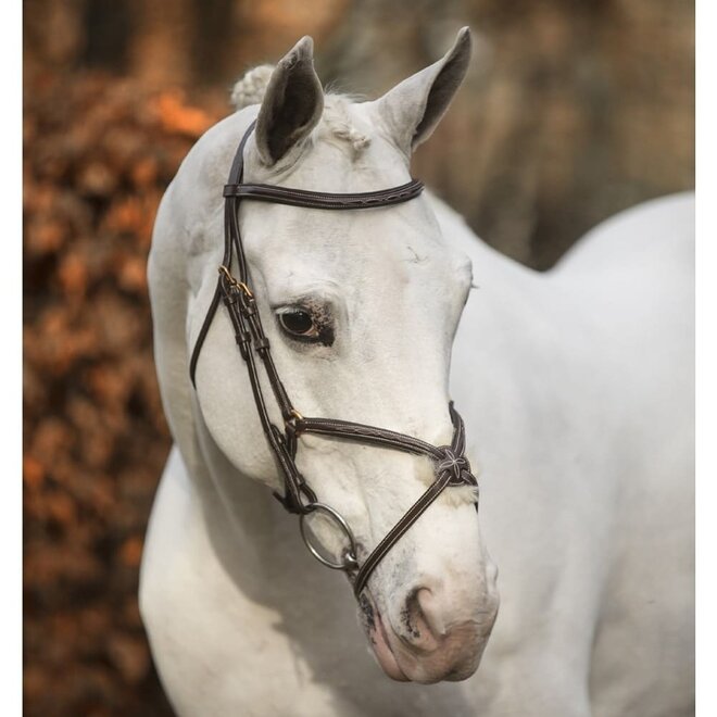 New Pro Bridle Mexican Noseband