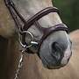 Double Noseband Gotha