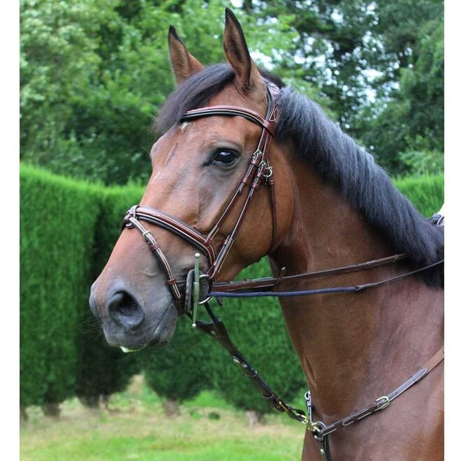 Jump Assist Leather & Nylon