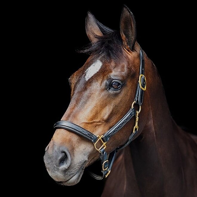 Leren Halster Fancy Stiched