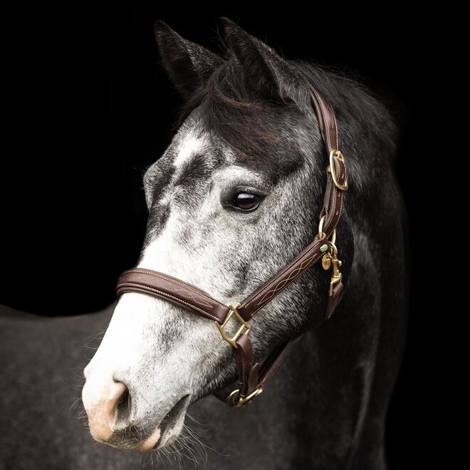 Leder Halfter Mit Ziernähten