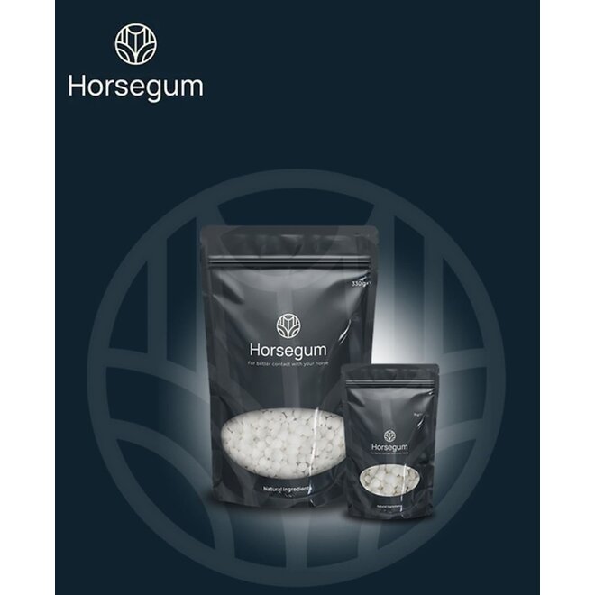 – Für Eine Bessere Verbindung Mit Ihrem Pferd