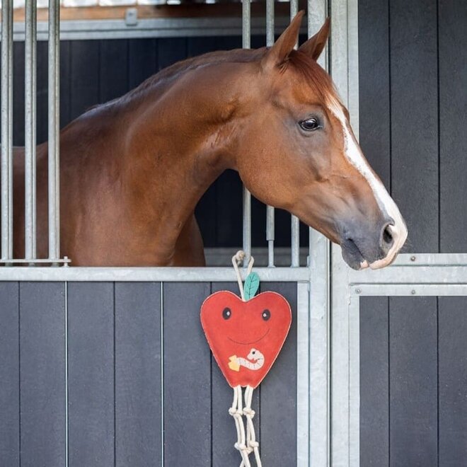 Horse Toy Apple