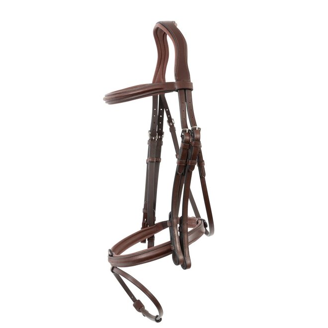 Abu Dhabi Kandarenzaum Mit Kombiniertem Nasenriemen