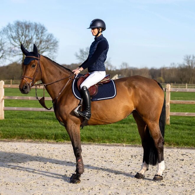 Jumping Saddle Cloth Arrow