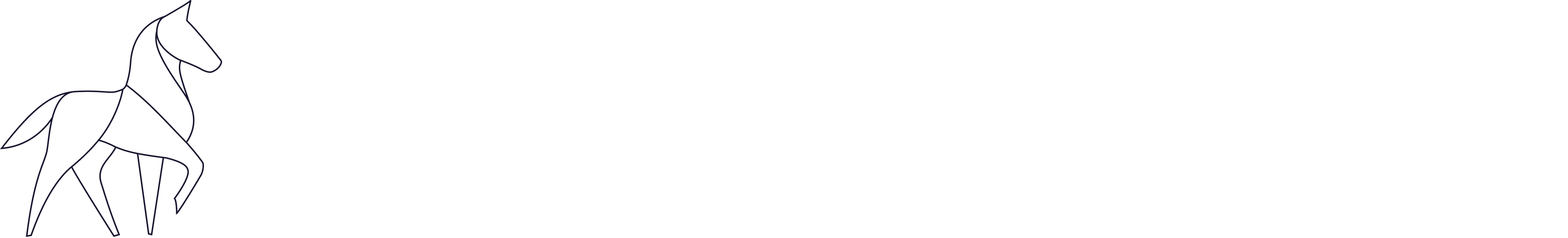 Ruitersportzaak voor de ambitieuze wedstrijdruiter