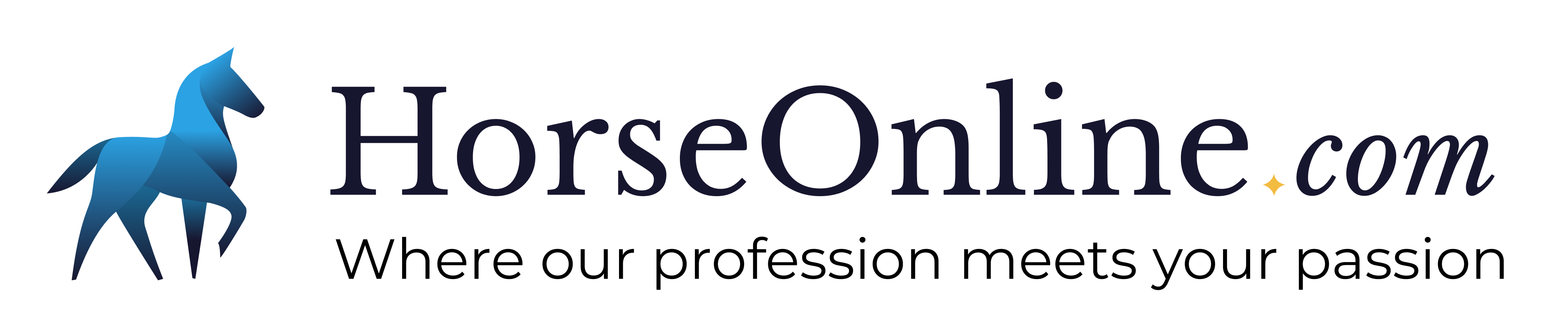 Ruitersportzaak voor de ambitieuze wedstrijdruiter