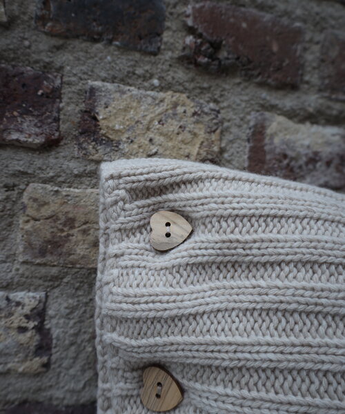 Belfast decorative cushion cover