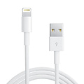 Apple MD819ZM/A Lightning to USB cable - 2 meter