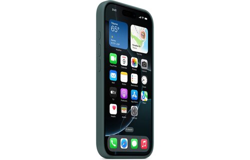 Apple MYYR3ZM/A iPhone 16 Pro Silicone Case - Grün