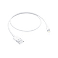 Apple ME291ZM/A - USB-A zu Lightning Kabel - 0.5 Meter -Weiss