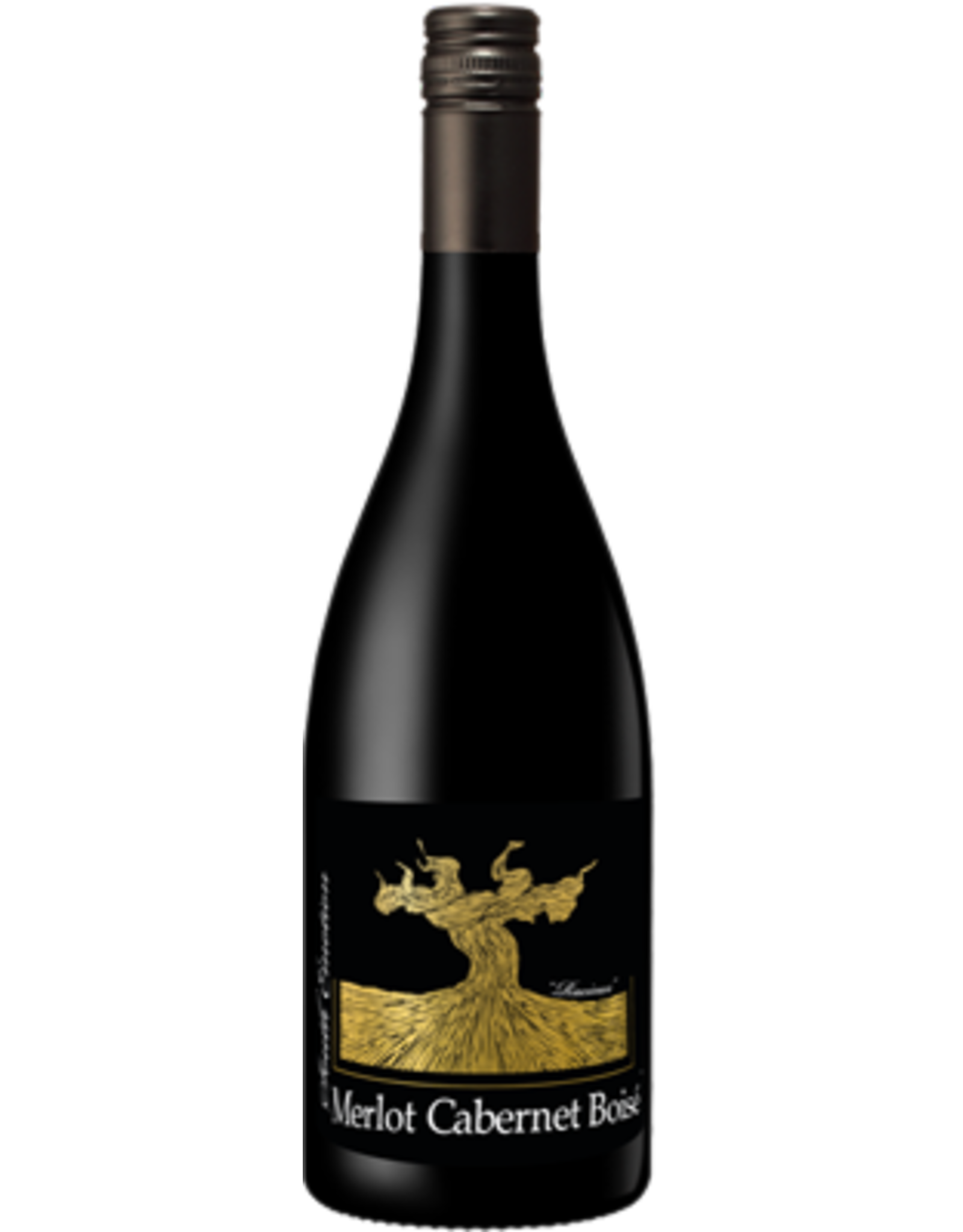 Les Vignerons du Narbonnais South Emotion Merlot Cabernet Boisé