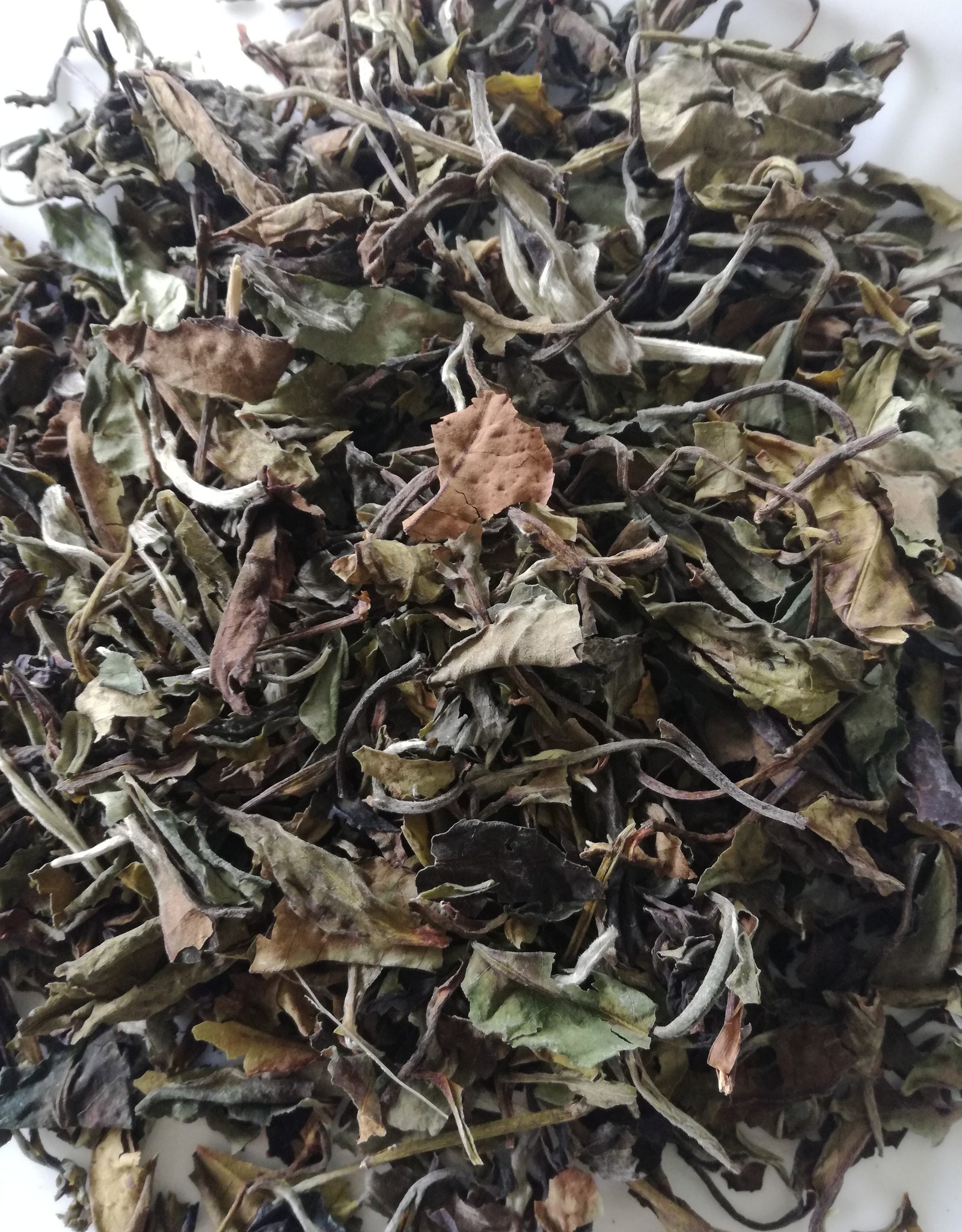 Tea and Herbs Witte thee China pai mutan