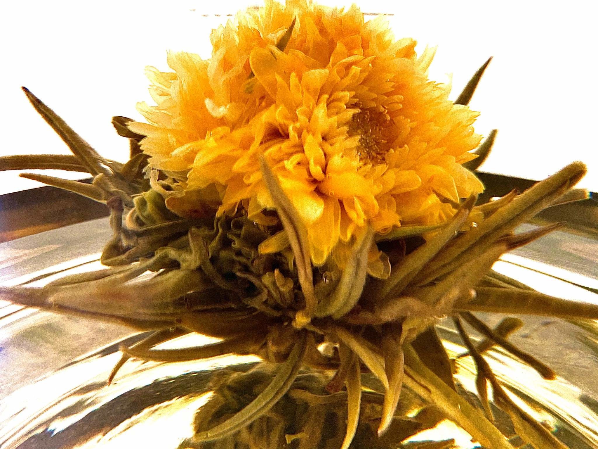 Blooming thee"full moon flower Tea and Herbs