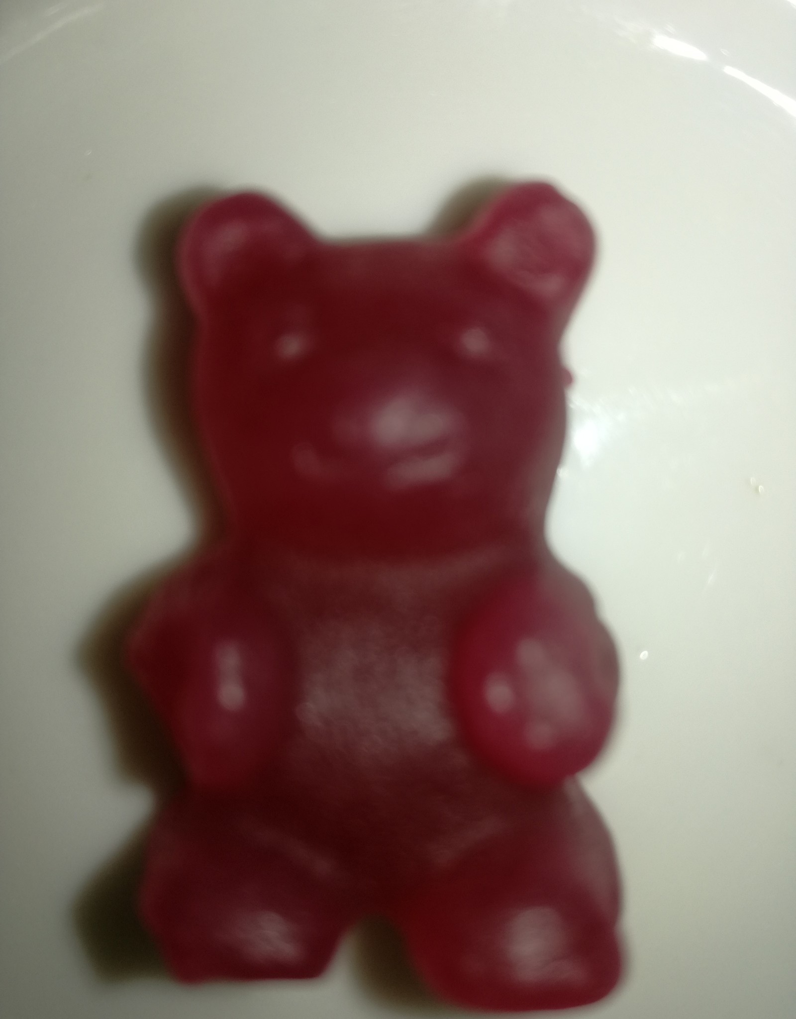 Tea and Herbs Theeberen in 19 verschillende  smaken