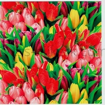 Bloemen divers