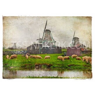TSS-Nijkerk Holland's tafereel