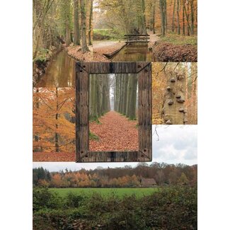 TSS-Nijkerk Herfstcollage