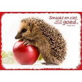 Igel