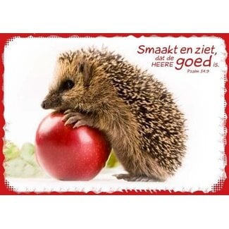 Good Seed Cards Egel
