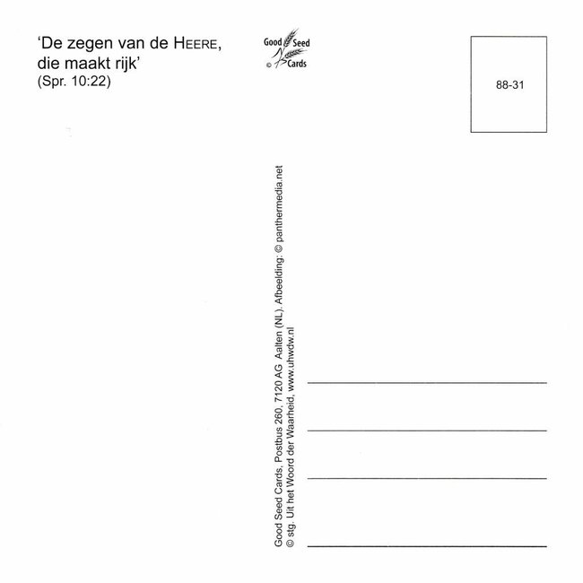 Good Seed Cards Geslaagd!