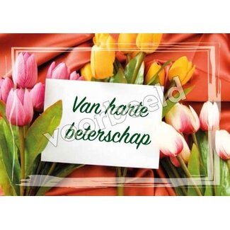Good Seed Cards Beterschap